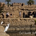 temple_karnak_lux_h_0293_egy3213.jpg
